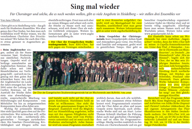 Rhein-Neckar-Zeitung 21.07.2015